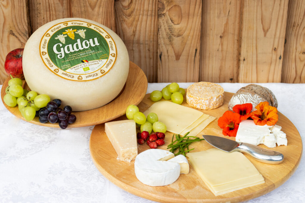 fromages danatel sans lactose